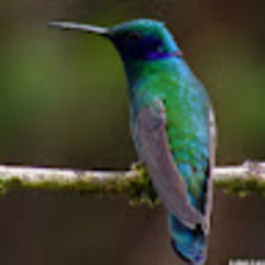 Meet your Posher, Lora